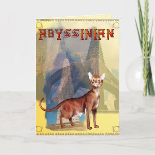Carte Abyssinian