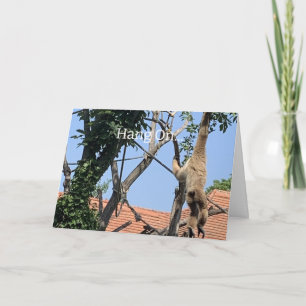 Carte Accrochez-Vous, Anniversaire Du Singe