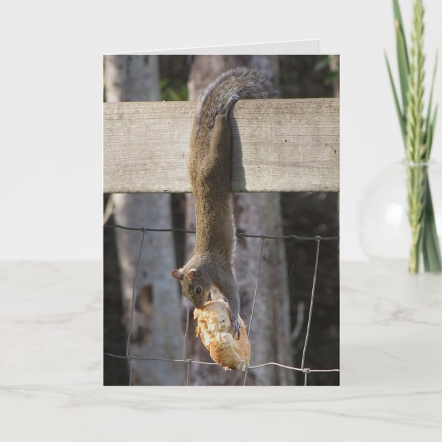 Carte Accrochez-Vous Là Bébé (Vierge À L'Intérieur) (Devant)