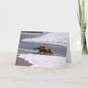 Carte Accueil à l'équipe !