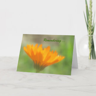 Carte - Accueil - Orange Calendula