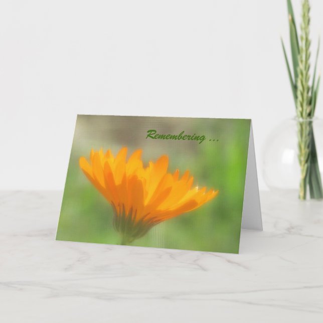 Carte - Accueil - Orange Calendula (Devant)
