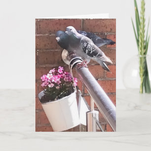 Carte Accueil Pigeon et Fleurs 