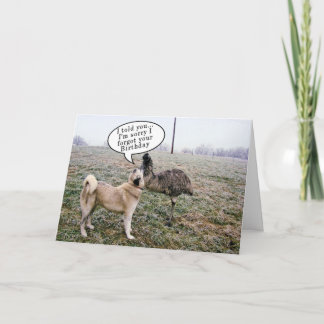 Carte Achai et Emu