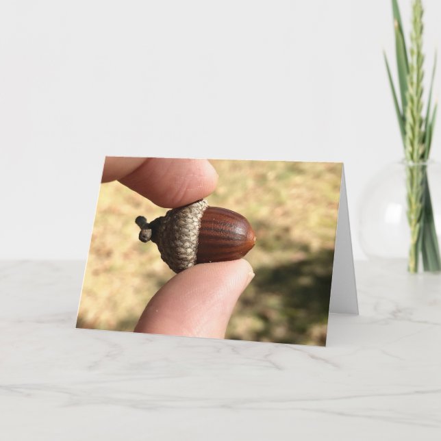 Carte Acorn (Devant)