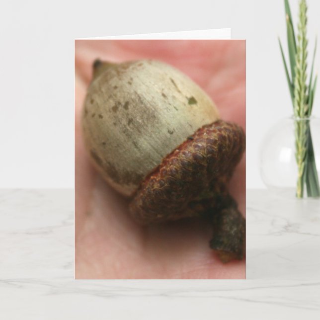 CARTE ACORN (Devant)