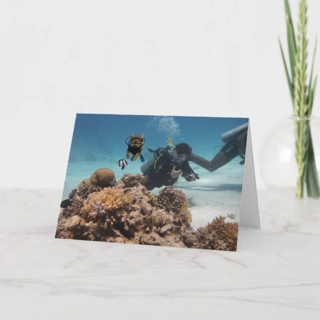 Carte Action Cats! Card (Devant)