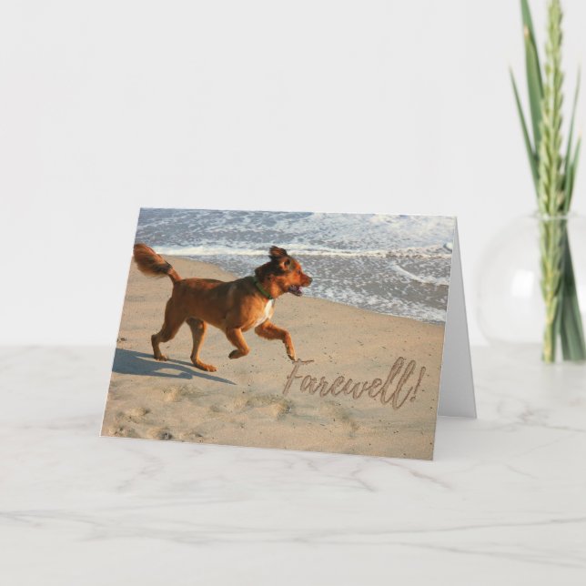 Carte Adieu de la retraite courir le chien sur la plage (Devant)