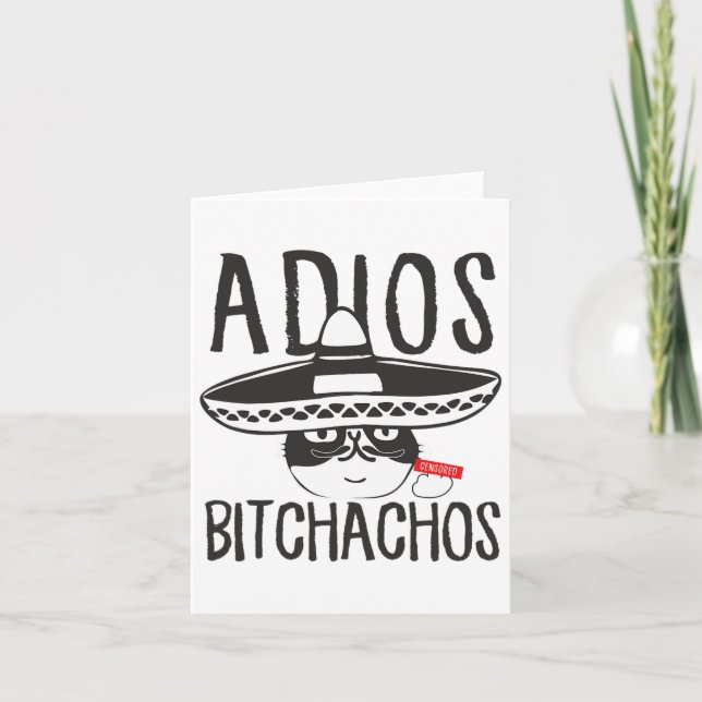 Carte Adios Achos Chat Dans Sombrero Drôle Cinco De Mayo (Devant)
