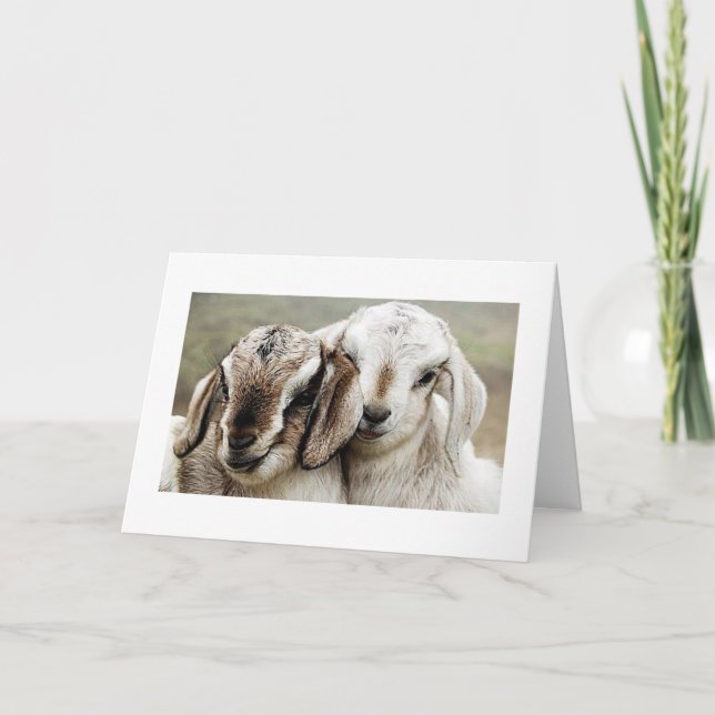 Carte adoption, adoption, adoption, photographie, (Devant)