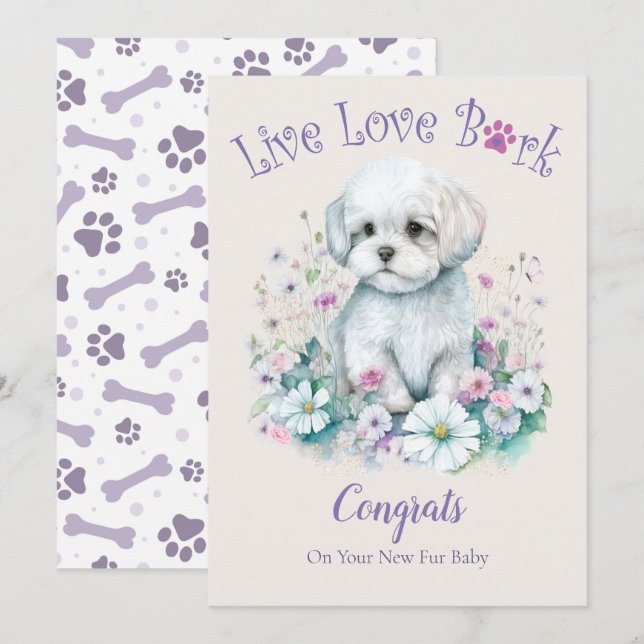 Carte Adoption de chien maltais, journée Gotcha (Devant / Derrière)
