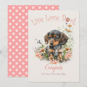 Carte Adoption de chien teckel, journée Gotcha