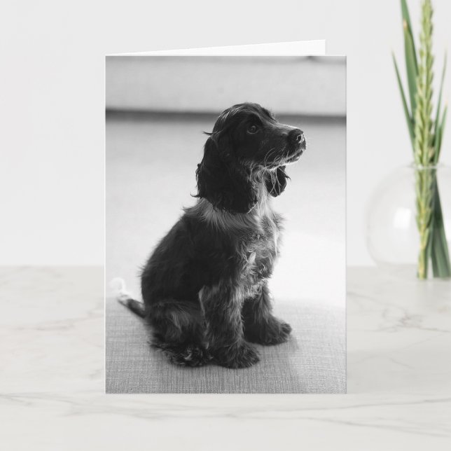 Carte Adorable Cocker Spaniel Greeting Card (Devant)