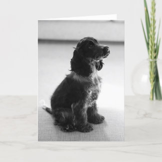 Carte Adorable Cocker Spaniel Greeting Card