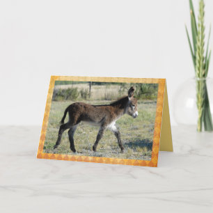 Carte adorable de félicitations de burro de bébé