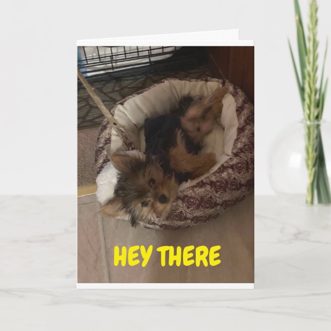 CARTE ADORABLE PUPPY SE RÉVEILLE POUR DIRE "HEUREUX ANNI (Devant)