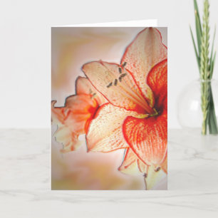 Carte Adoration d'amaryllis