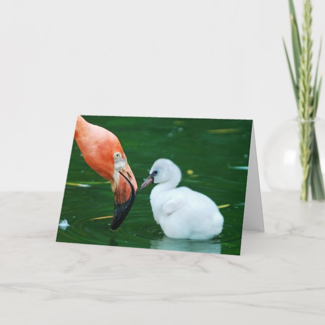 Carte Adult Flamingo and chick Greeting Card. (Devant)