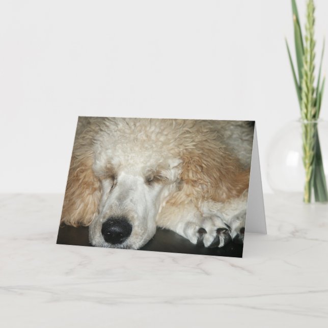 Carte Aero-2 (Devant)