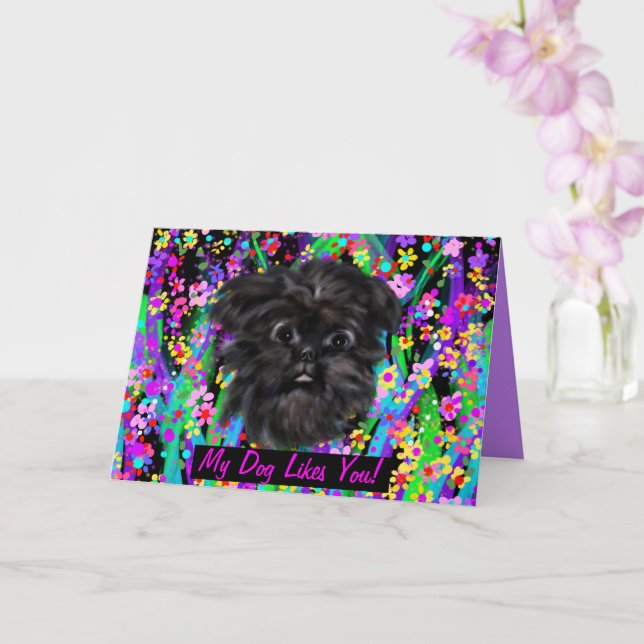 CARTE AFFENPINSCHER (Orchidée)