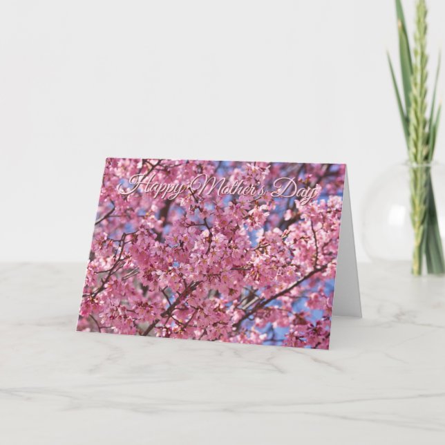 Carte Affiche Ciel Fleur de Cerisier Rose Sakura (Devant)