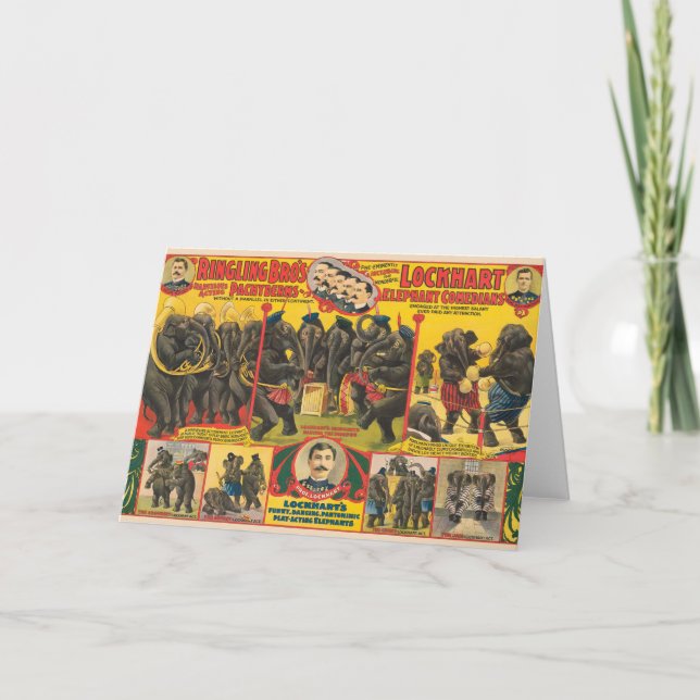 Carte Affiche De Cirque D'Éléphants Qui Se Déroulent (Devant)