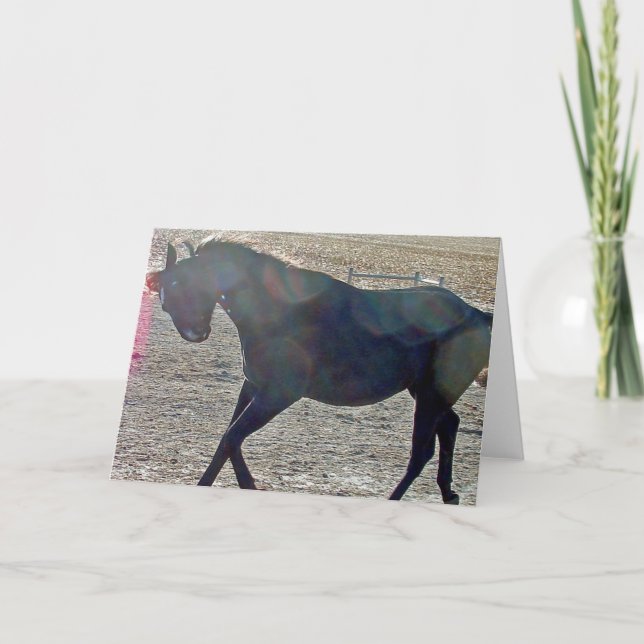 Carte Afficher désactivé (Devant)