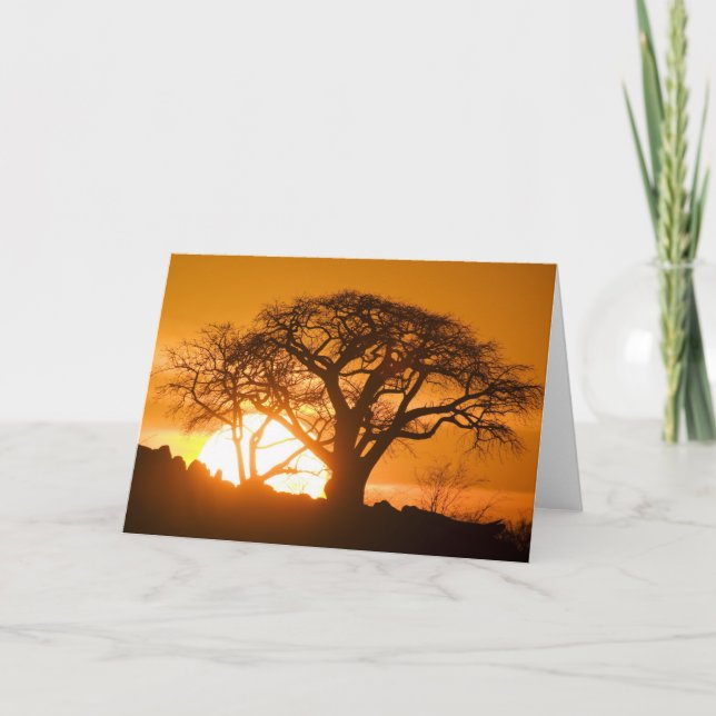 Carte Afrique, Botswana, Définition des silhouettes du s (Devant)