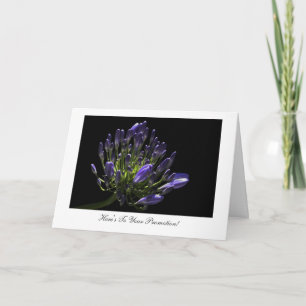Carte Agapanthus - Félicitations pour votre promotion