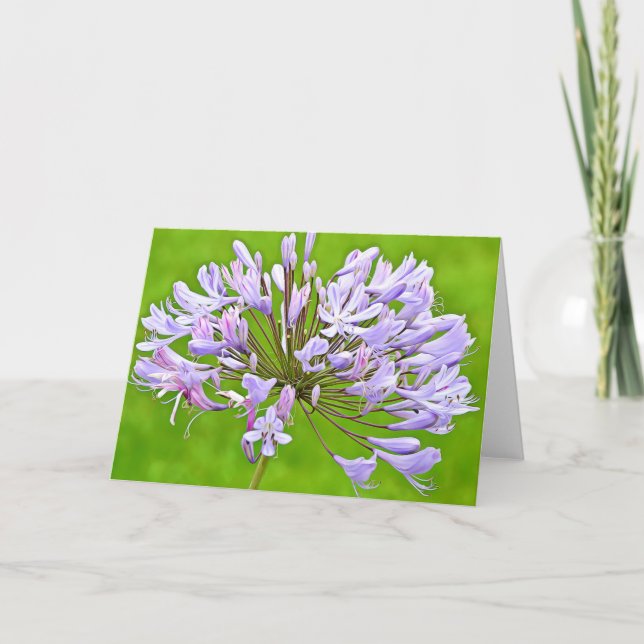 Carte Agapanthus Lily Ecriture Card 2 Corinthiens 4:15 (Devant)