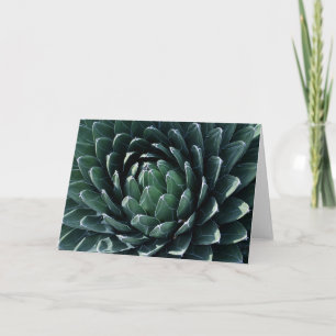 Carte Agave verte