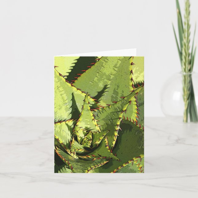 Carte agave verte (Devant)