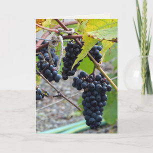 Carte Âgé à la perfection