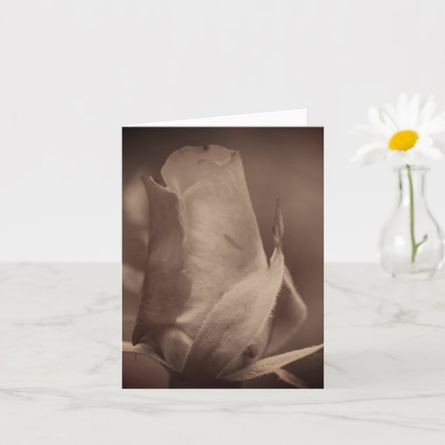 Carte Aged Vintage Sepia Rosebud Flower Note (Petite plante)