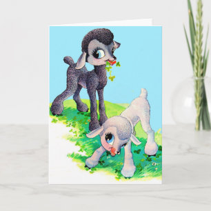 Carte agneau noir agneau blanc