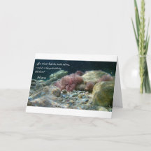 Aguas Antiguas Tarjeta - Emploi 38:16