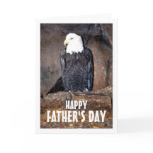 Aigle américain à tête blanche dans son nid