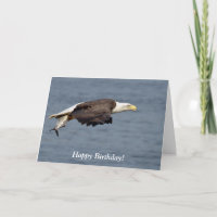 Aigle chauve avec un poisson