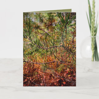 Carte Aiguilles de pin d'automne 