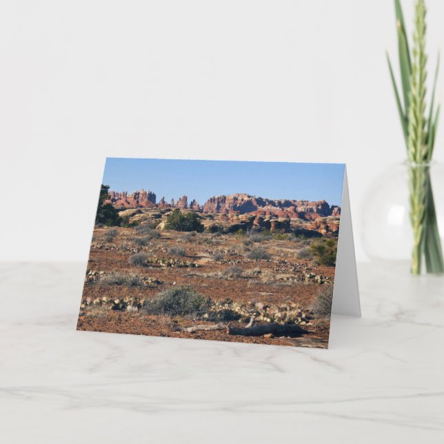 Carte Aiguilles du sentier de Pothole Point à Canyonland (Devant)