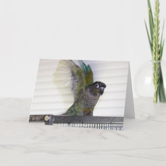Carte Aile Ding (Devant)