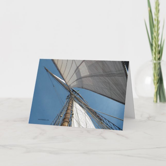 Carte ailes sur le vent (Devant)