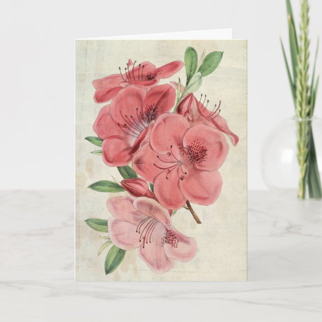 Carte Aimant botanique vintage Azalea (Devant)