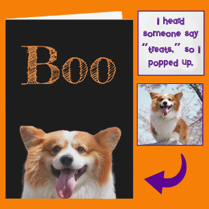Carte Ajoutez une photo ! Drôle Mignon Corgi Chien Hallo