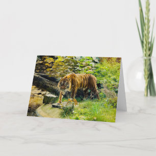 Carte AJOUTEZ VOTRE PROPRE TEXTE Tigre