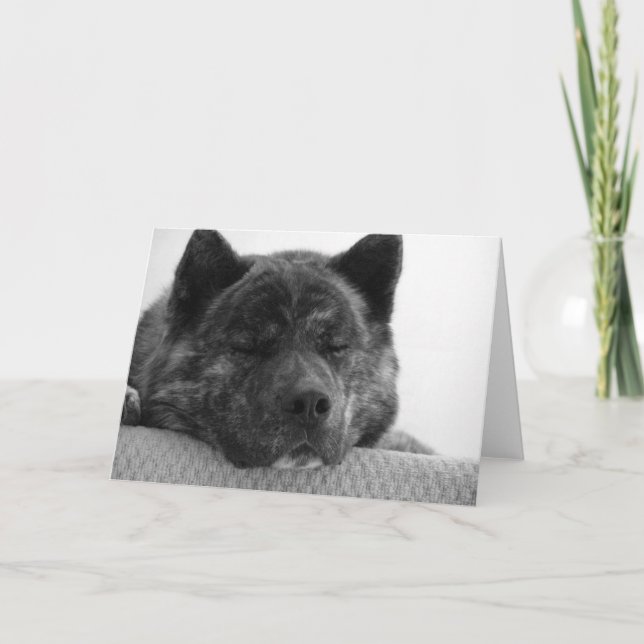 Carte Akita (Devant)