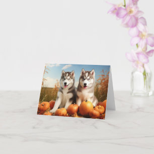 Carte Alaskan Malamute Chiot Automne Citrouille délice