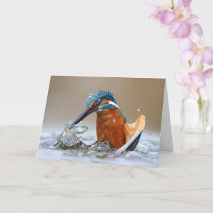 Carte Alcedo Atthis Martin-pêcheur chassant dans l'eau L