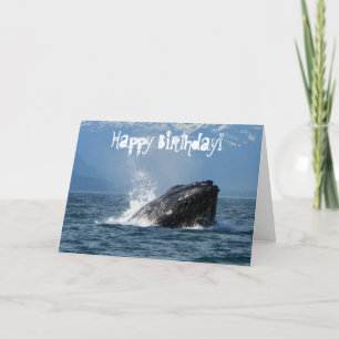 Carte Alimentation de baleines à bosse