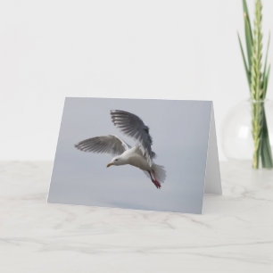 Carte alki de mouette en vol aujourd'hui